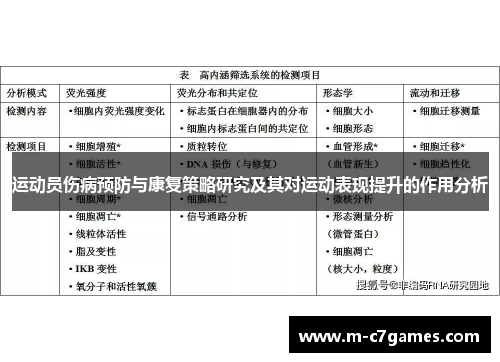 运动员伤病预防与康复策略研究及其对运动表现提升的作用分析