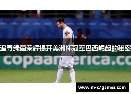 追寻绿茵荣耀揭开美洲杯冠军巴西崛起的秘密 追寻绿茵荣耀揭开美洲杯冠军巴西崛起的秘密